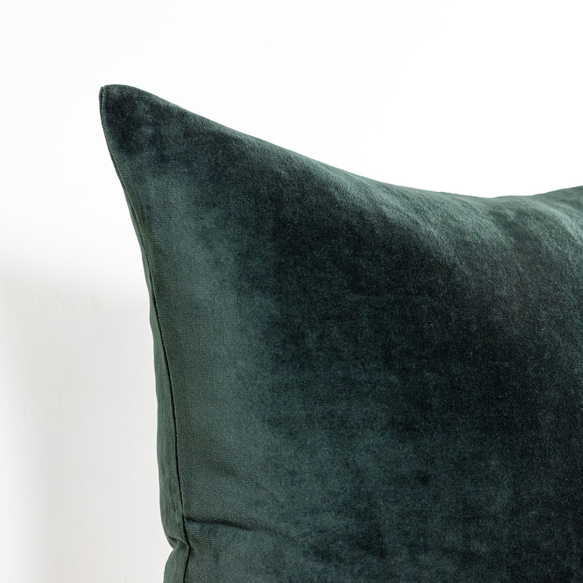 Dark Forest Velvet - 18" | 22"