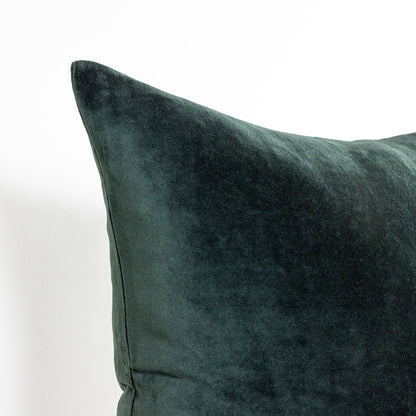 Dark Forest Velvet - 18" | 22"
