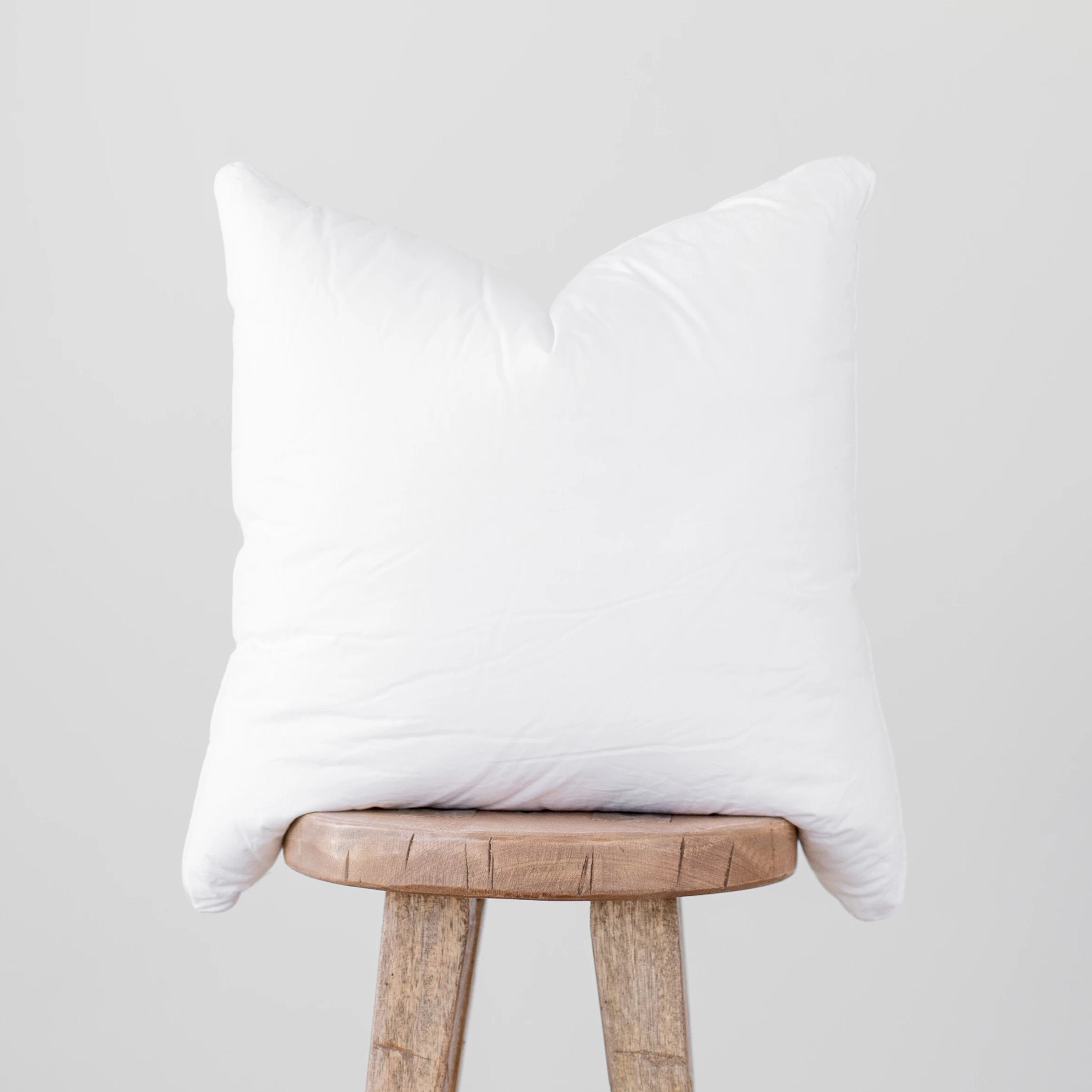Blank Throw Pillow Insert – Joy of Randomness